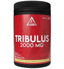 Lazar Angelov TRIBULUS 2000 mg 90 tablet